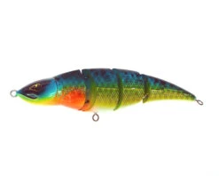 Rozemeijer Fatal Attraction 18cm 95g -Sportvisserserdenhaag Winkel 65024 fatal attraction sbg