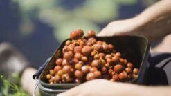 Strategy Grade Bait Bucket 10 Ltr 6 Strategy Grade Bait Bucket 10 Ltr -Sportvisserserdenhaag Winkel 6539 308 309 003