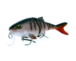 Rozemeijer Sweet Meat 18cm 95g -Sportvisserserdenhaag Winkel 65997 standing