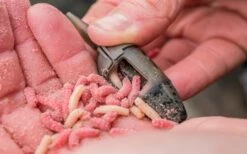 Preston ICS In-Line Maggot Feeders 9 Preston ICS In-Line Maggot Feeders -Sportvisserserdenhaag Winkel maggot3