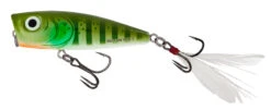Salmo Rattlin Pop Floating 7cm 11 Salmo Rattlin Pop Floating 7cm -Sportvisserserdenhaag Winkel rattlinpop7 gnl