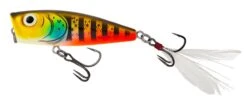 Salmo Rattlin Pop Floating 7cm 10 Salmo Rattlin Pop Floating 7cm -Sportvisserserdenhaag Winkel rattlinpop7 hgl