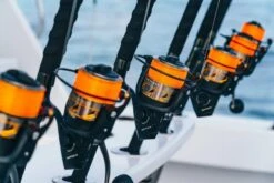 Penn Battle III 11 Penn Battle III -Sportvisserserdenhaag Winkel penn spinning reels battle iii spinning lifestyle 2020 001